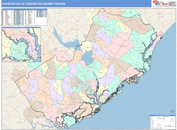 Charleston, SC DMR Wall Map Color Cast Style