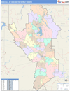 Missoula, MT DMR Wall Map Color Cast Style