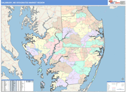 Salisbury, MD DMR Wall Map Color Cast Style