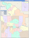 Twin Falls, ID DMR Wall Map Color Cast Style