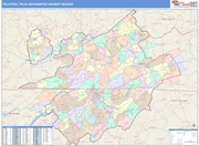 Tri-Cities-VA DMR Map Color Cast Style