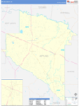 Appling County Wall Map Basic Style