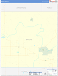 Briscoe County Wall Map Basic Style