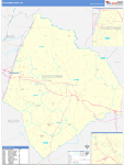 Edgecombe County Wall Map Basic Style