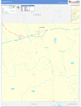 Nolan County Wall Map Basic Style