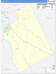 Twiggs County Wall Map Basic Style
