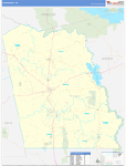 Tyler County Wall Map Basic Style