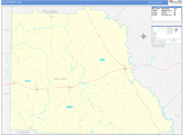 Wilcox County Wall Map Basic Style