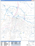Greenville  Wall Map Basic Style