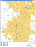 Joplin  Wall Map Basic Style