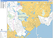 Lynn  Wall Map Basic Style