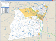 Albany Wall Map Basic Style