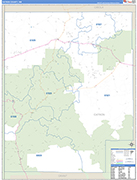 Catron County Wall Map Basic Style
