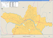 Danville County Wall Map Basic Style