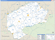 Delaware Wall Map Basic Style