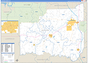Jackson Wall Map Basic Style