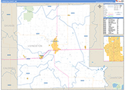 Livingston County Wall Map Basic Style