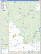 Newaygo County Wall Map Basic Style