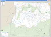 Newton County Wall Map Basic Style