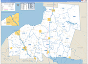 Oswego Wall Map Basic Style
