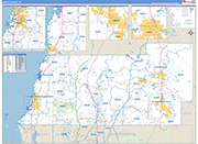 Pasco County Wall Map Basic Style