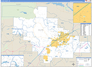 Saline County Wall Map Basic Style