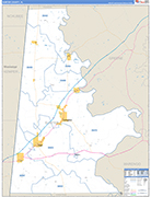 Sumter County Wall Map Basic Style