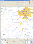 Taylor County Wall Map Basic Style