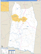 Toombs County Wall Map Basic Style