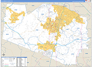 Williamson Wall Map Basic Style