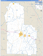 Worth County Wall Map Basic Style