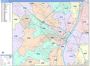 Albany  Wall Map Color Cast Style