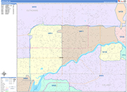 Appleton  Wall Map Color Cast Style