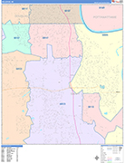 Bellevue  Wall Map Color Cast Style