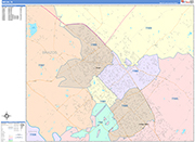 Bryan  Wall Map Color Cast Style