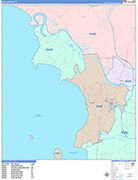 Burlington  Wall Map Color Cast Style