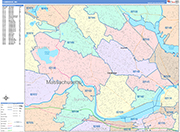 Cambridge  Wall Map Color Cast Style