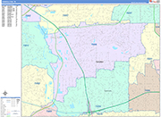 Carrollton  Wall Map Color Cast Style