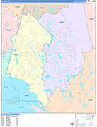 Deltona  Wall Map Color Cast Style