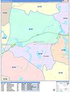 Framingham  Wall Map Color Cast Style