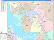 Fremont  Wall Map Color Cast Style