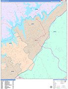 Gainesville  Wall Map Color Cast Style