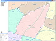Irvington  Wall Map Color Cast Style