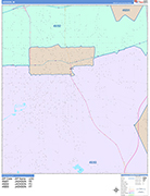 Jackson  Wall Map Color Cast Style