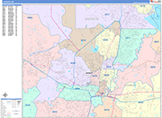 Jackson  Wall Map Color Cast Style