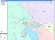 Jacksonville  Wall Map Color Cast Style