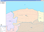 Lakewood  Wall Map Color Cast Style