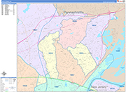 Levittown  Wall Map Color Cast Style