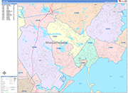 Lynn  Wall Map Color Cast Style