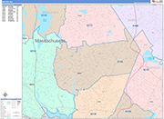 Malden  Wall Map Color Cast Style